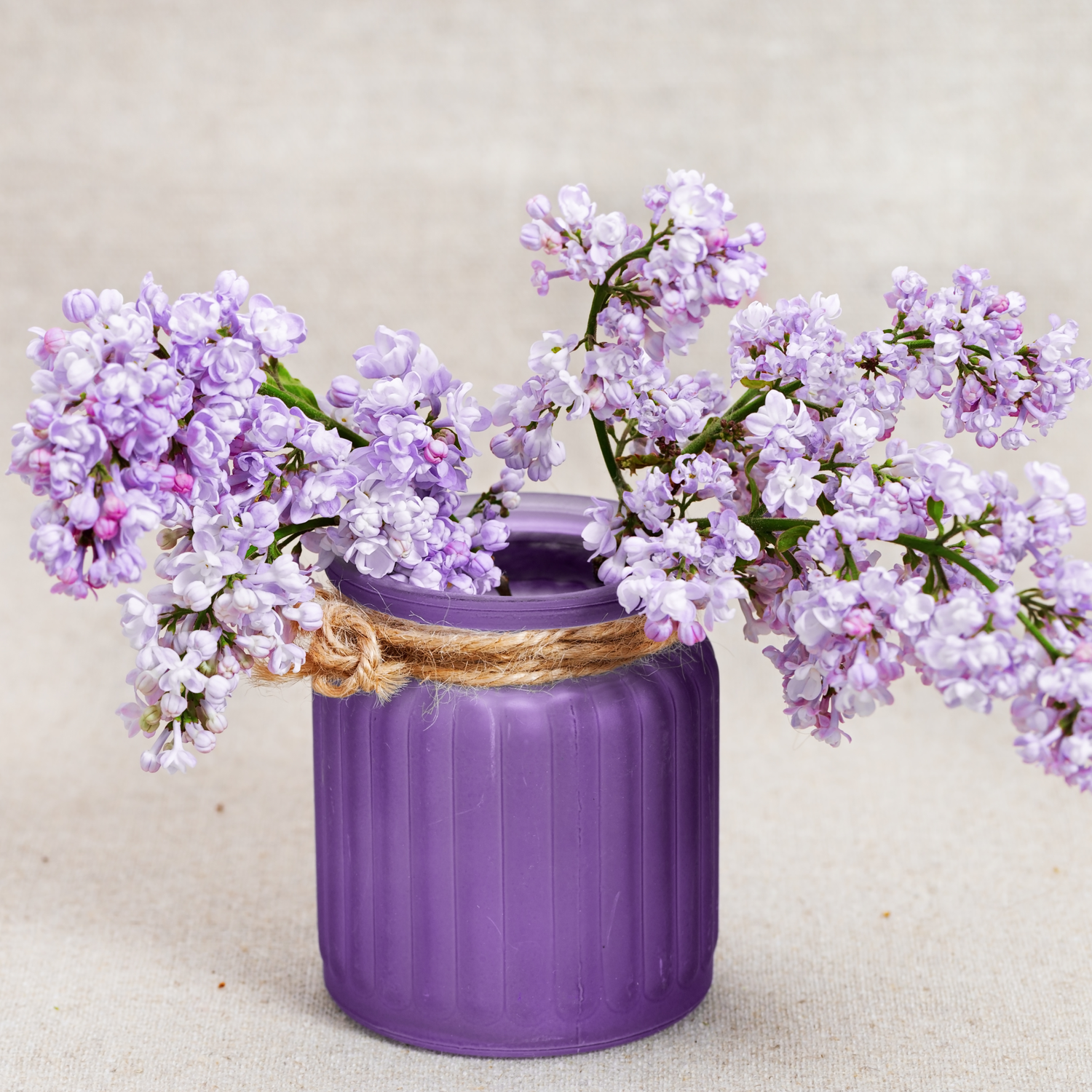 Purple Decorative Accents