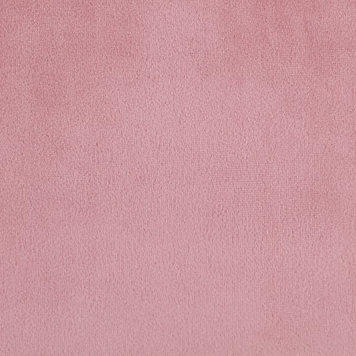 LumiSource Midas Pink Velvet Storage Bench with Gold Legs